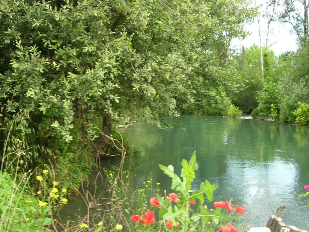 Maison Pres De L'Eau LʼIsle-sur-la-Sorgue Eksteriør bilde