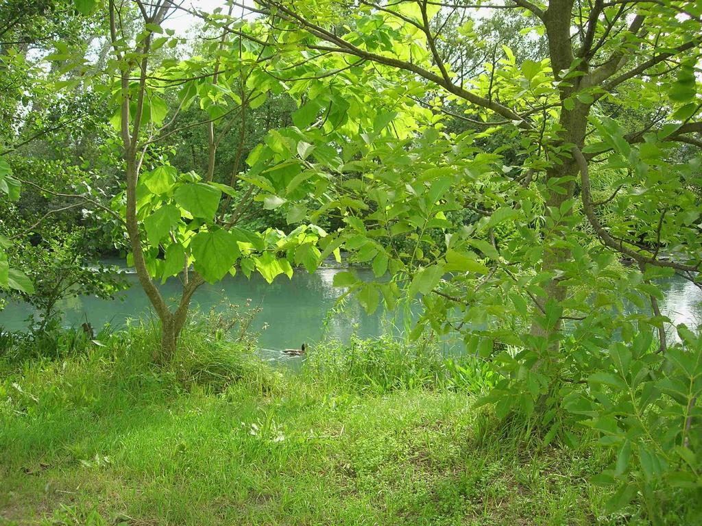Maison Pres De L'Eau LʼIsle-sur-la-Sorgue Eksteriør bilde